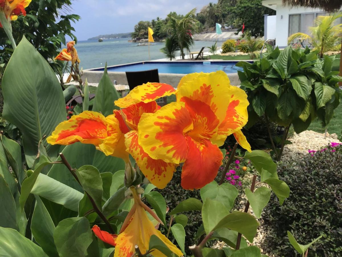 Bamboobeachvilla2 Ac New Oceanfront Pool Sunsetview Garden Kitchen Satellite Starlink Wi-Fi Dimiao Exteriör bild
